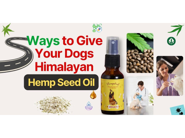 Himalayan hemp seed oil