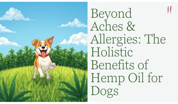 Beyond Aches & Allergies: The Holistic Benefits of Hemp Oil for Dogs