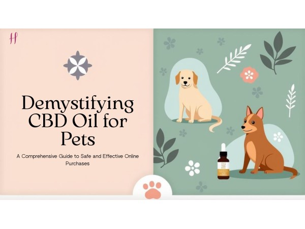 Demystifying How to Buy CBD Oil for Pets Online	