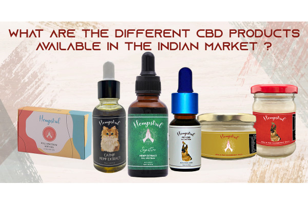 CBD Balm, CBD Oil, CBD Softgel: Confused about which one to choose? A complete guide for you to read before buying CBD 