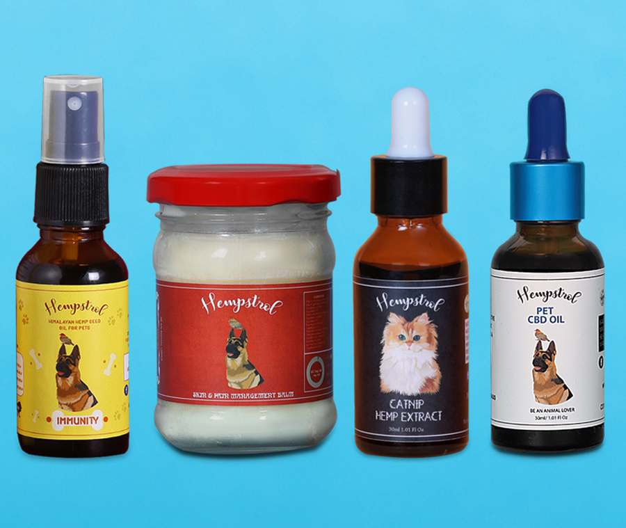 Complete CBD for Pets Care Bundle