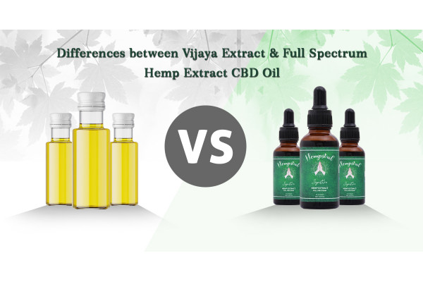 Difference Between Vijaya Extract and Full Spectrum CBD Oil