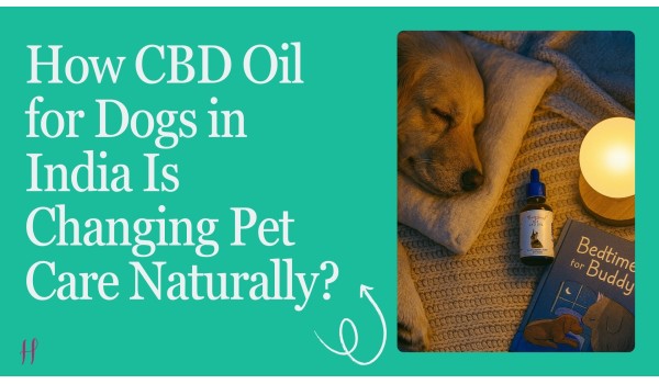 How CBD Oil for Dogs in India Is Changing Pet Care Naturally?