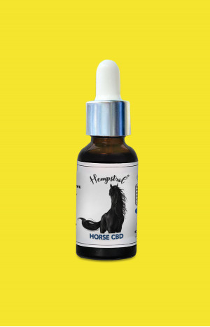 CBD Oil for Horses