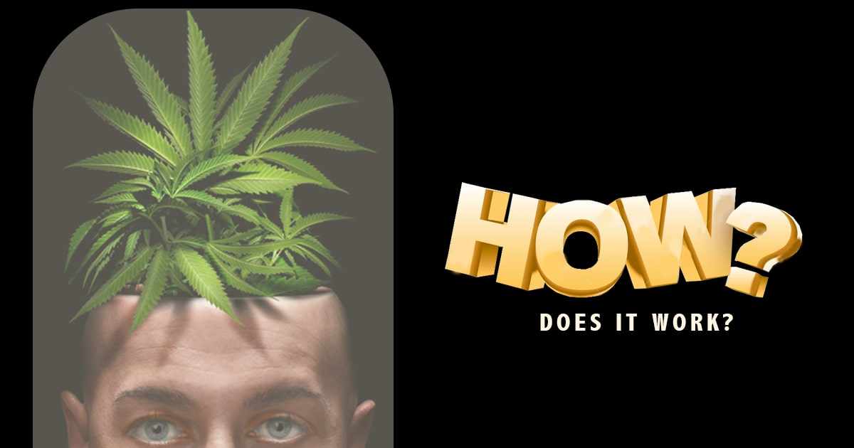 Using THC oil to improve memory and learning