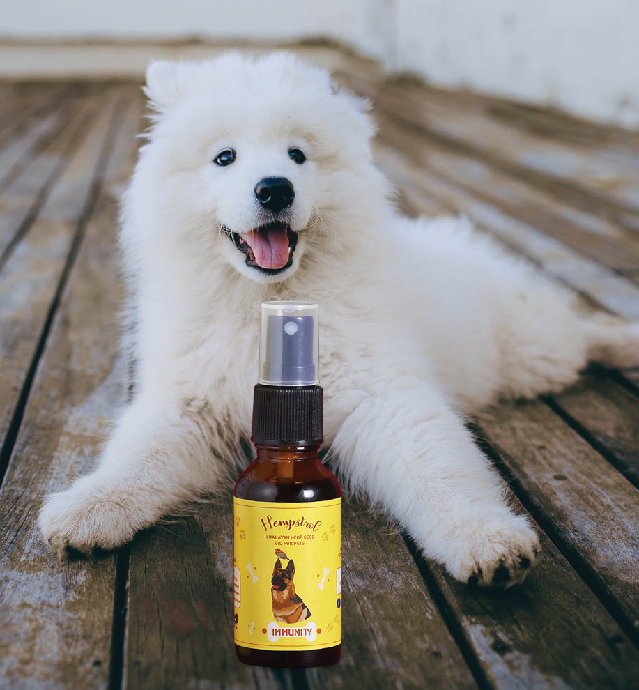 Is Himalayan Hemp seed oil safe to give to my pets? 