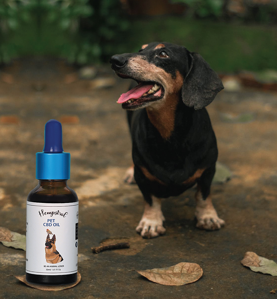 What are the Ingredients of CBD Pet Oil? 