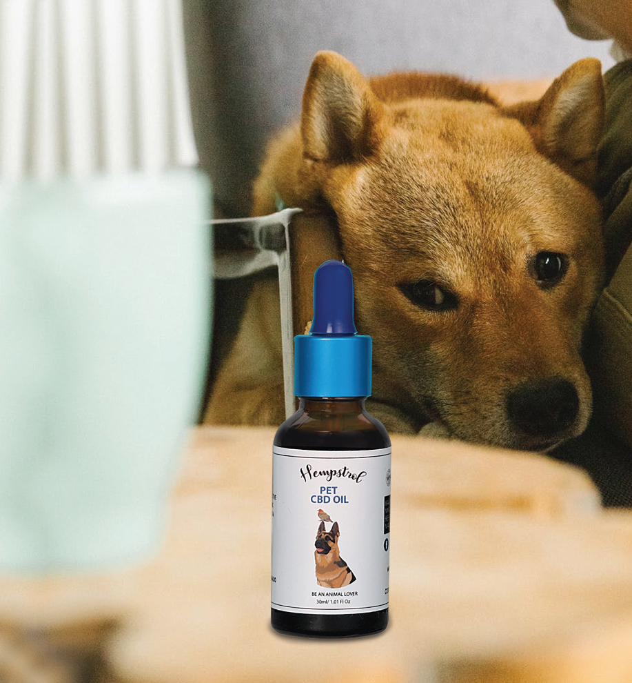 How should I give CBD oil to my pets?