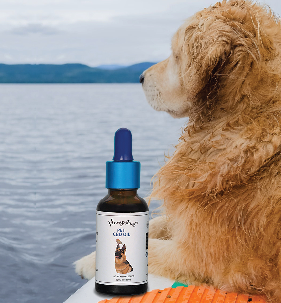 Can CBD Oil work on my pet’s Arthritis problem?