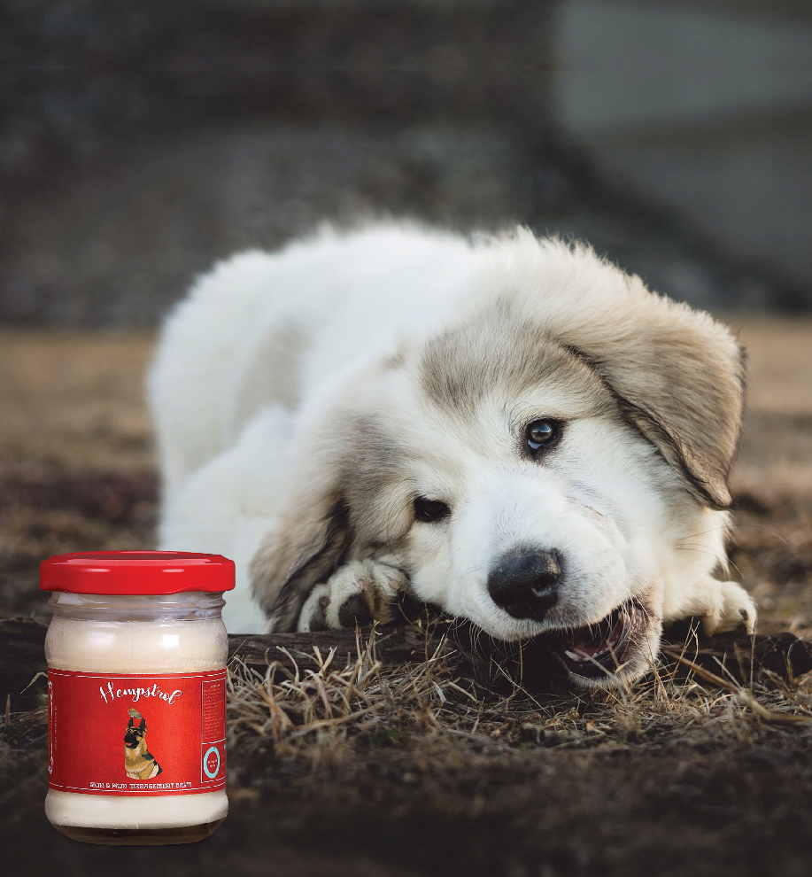 Is this balm right for my pets?